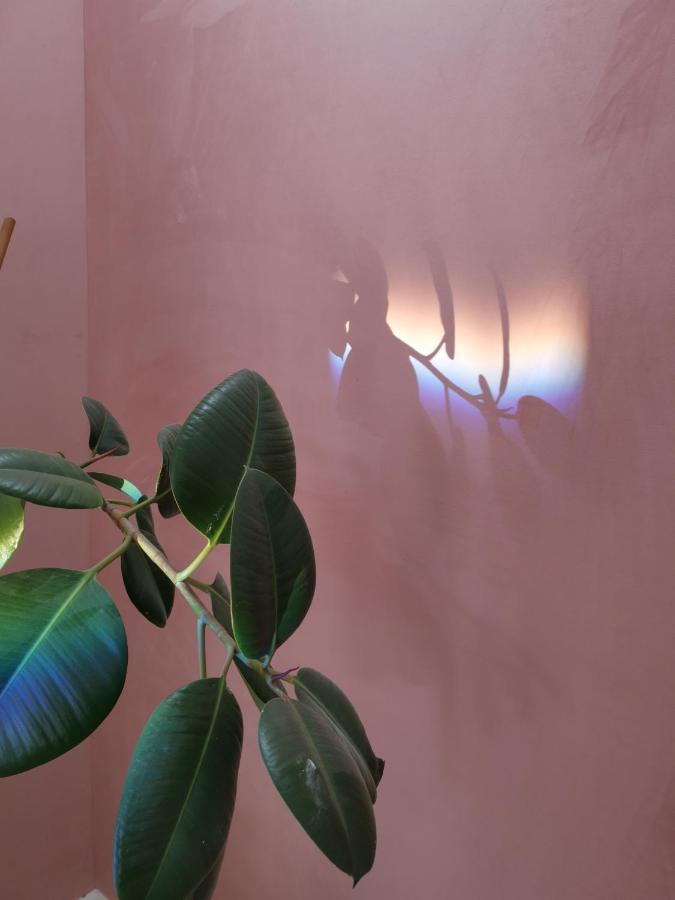 Jardin D'Hiver Cassel Suite De 70 M2 Dış mekan fotoğraf